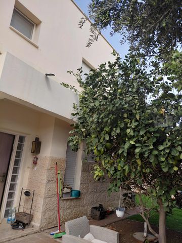 הצבעוני 30