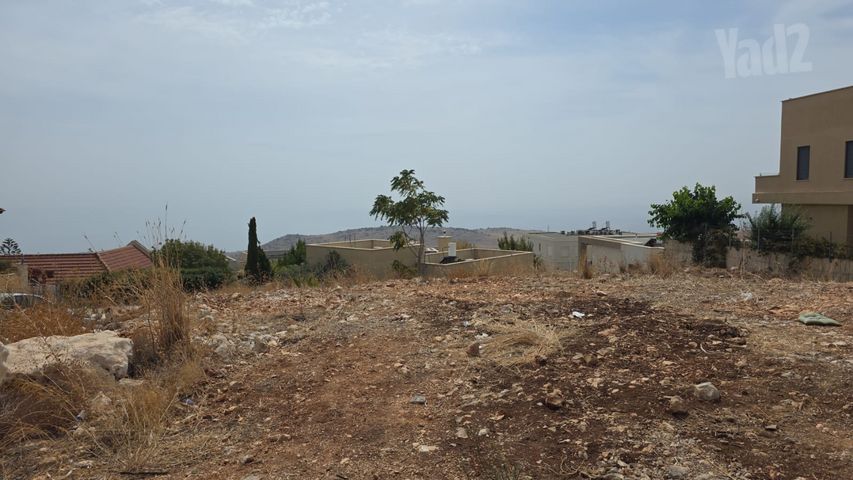 נוף הכנרת 11