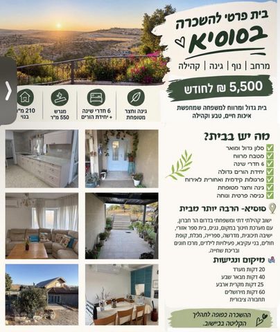 הפסיפס 1