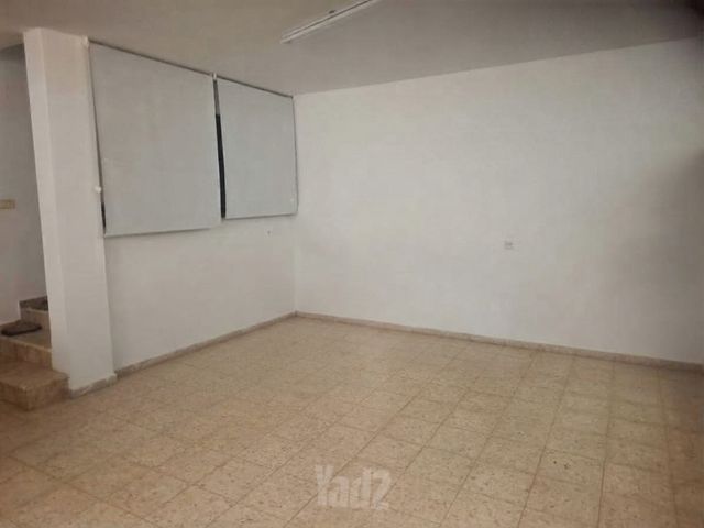 הברוש 4