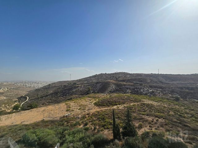 מתתיהו הכהן 