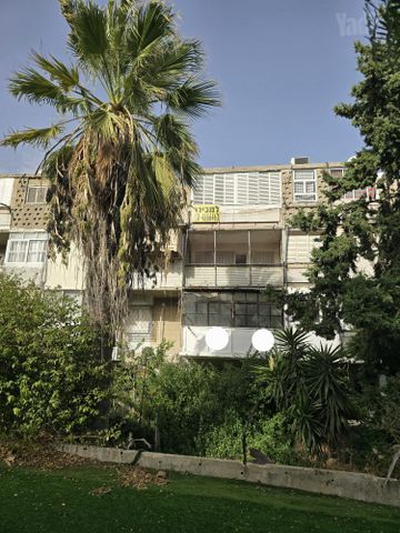 דירה