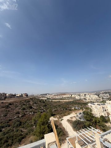 יונה בן אמיתי 