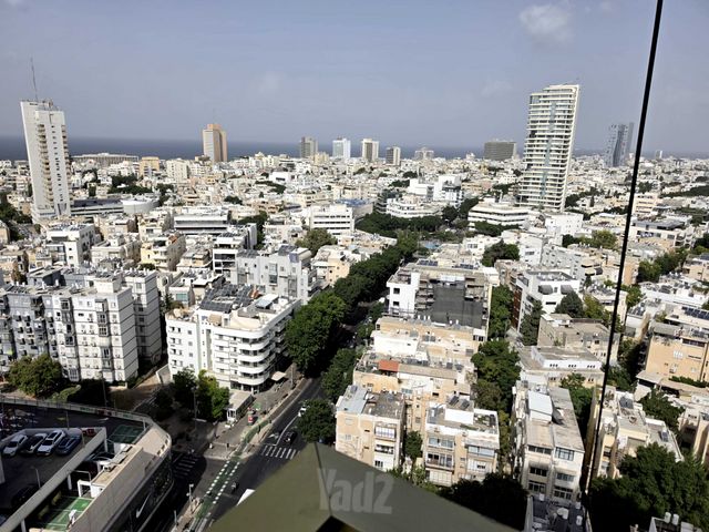 דיזנגוף 50