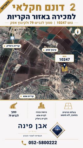 מגרשים