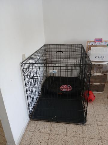 תמונת מודעה - חיות מחמד