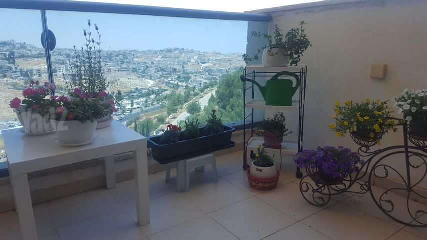 דירה להשכרה בירושלים — 5