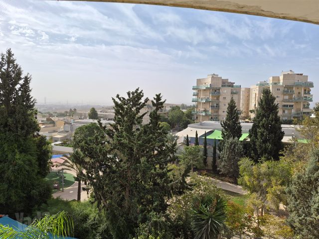 פרופסור אברהם אמיר 
