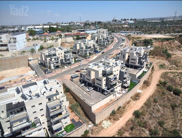 הברוש 