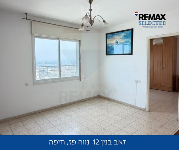 זאב בנין 12