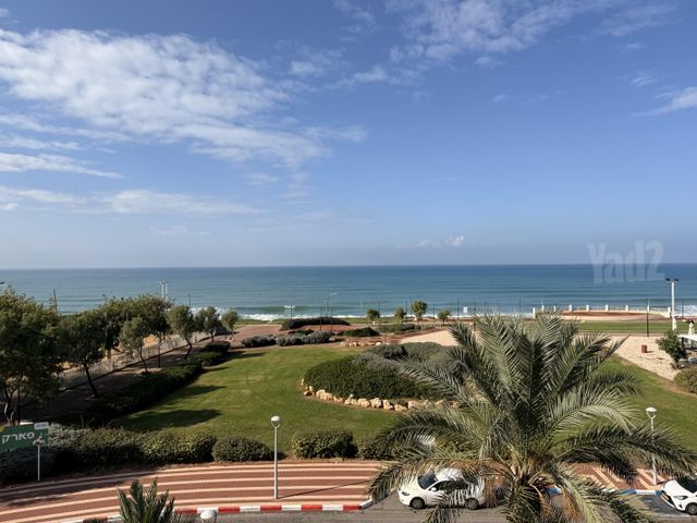 השקד 34
