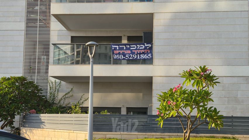 דוגית 