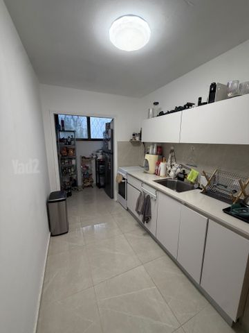 ד"ר סטופ 