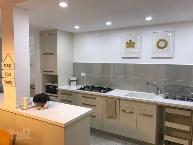 האילנות 31