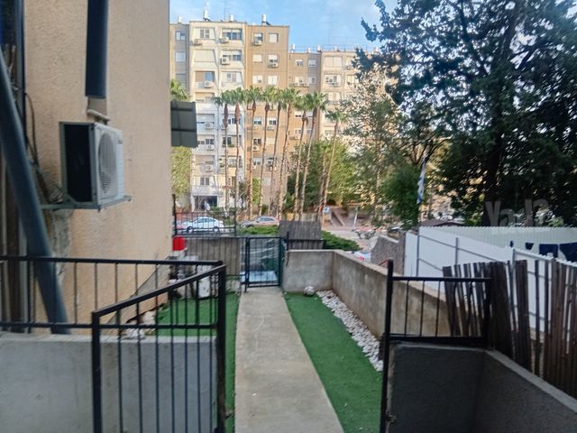 אילנות 6