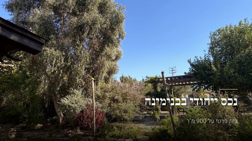 השחף 12