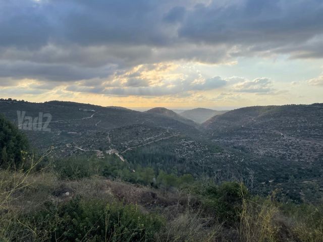 ענבל 295