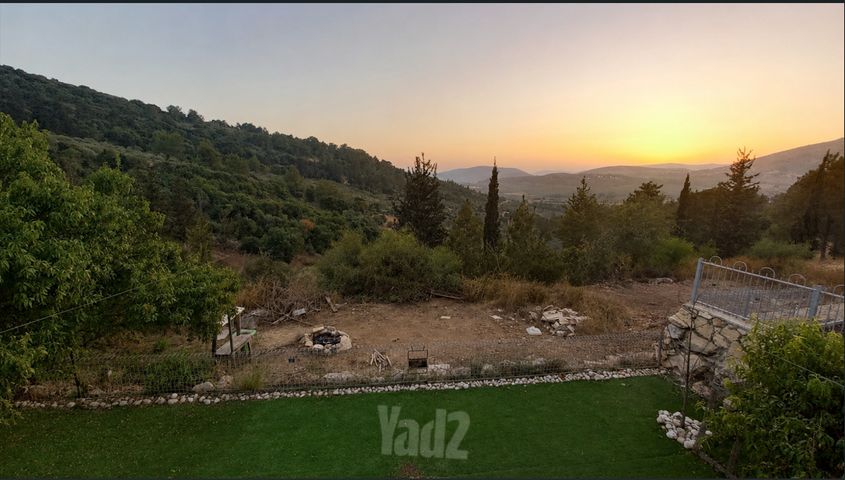ברוש 30