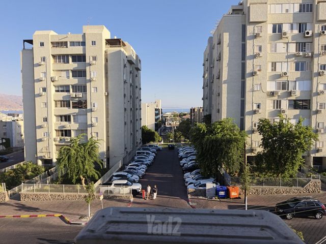 שור 1