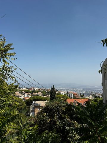 שדרות מוריה 