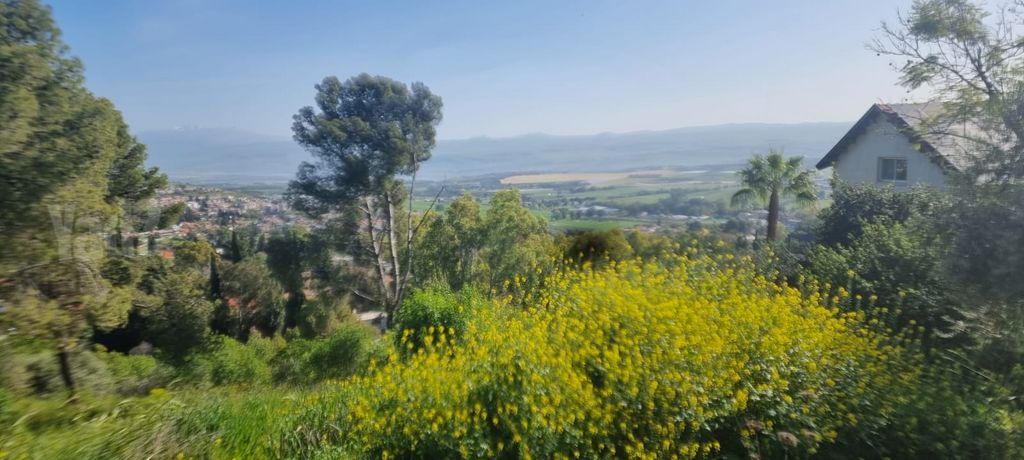 דרך בן אריה 