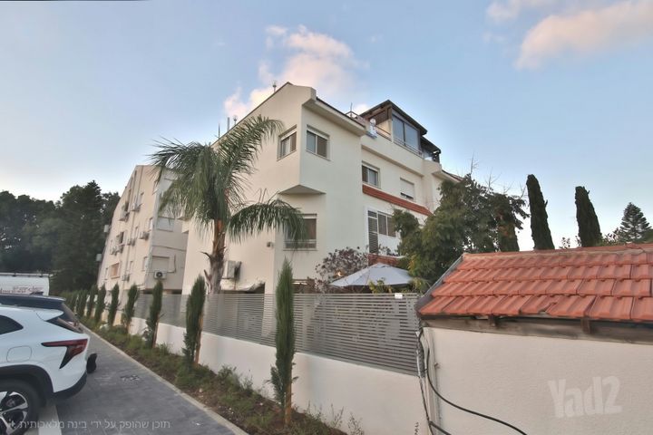 אלכסנדר זייד 49