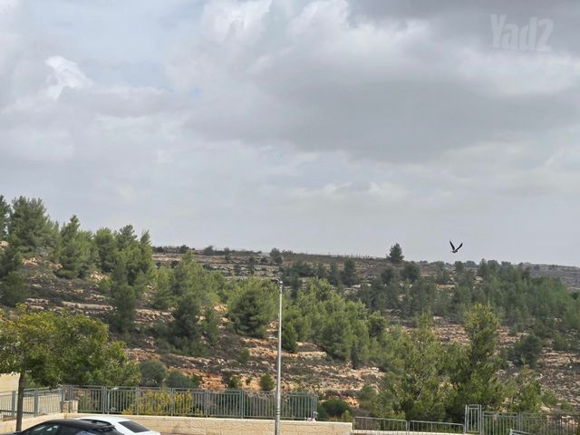 שדרות החושן