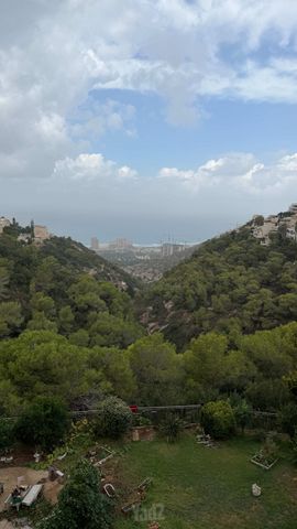 מנחם בייליס 