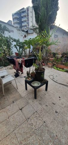 בית פרטי/ קוטג' להשכרה בתל אביב יפו (תיווך) — 2
