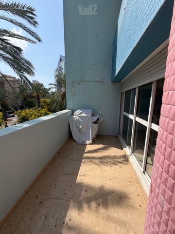 שלמה המלך 