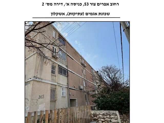 אפרים צור 53