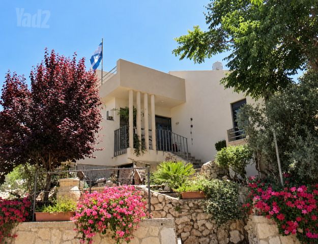 נחל צין 164