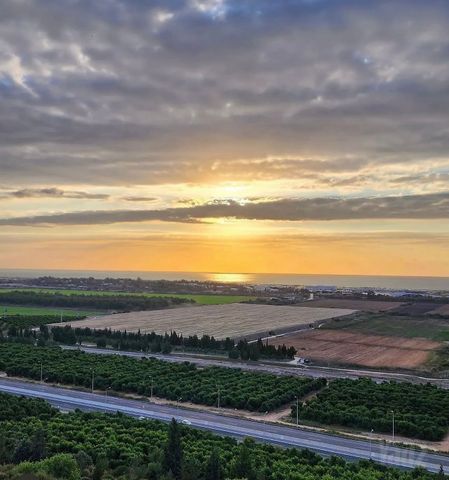 יאיר 