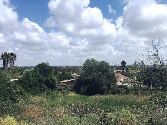 משק חקלאי/ נחלה