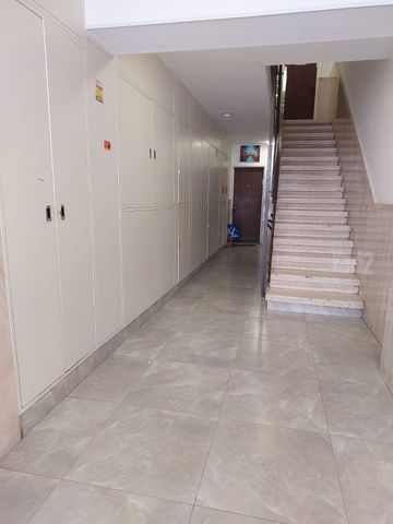 יואב דעי 