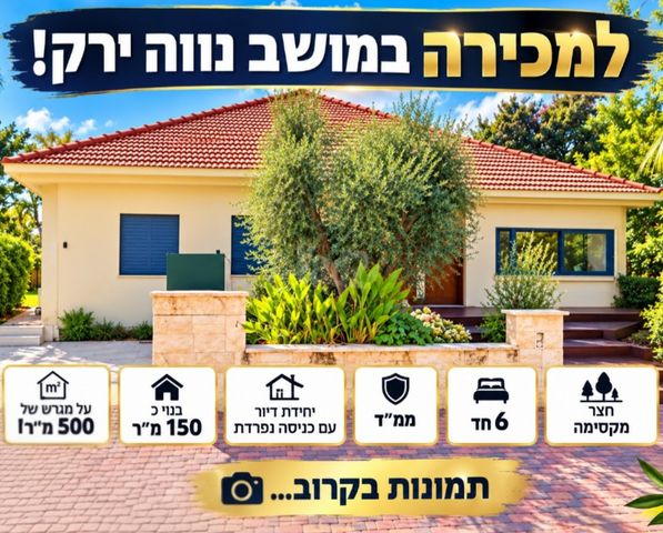 הברוש 