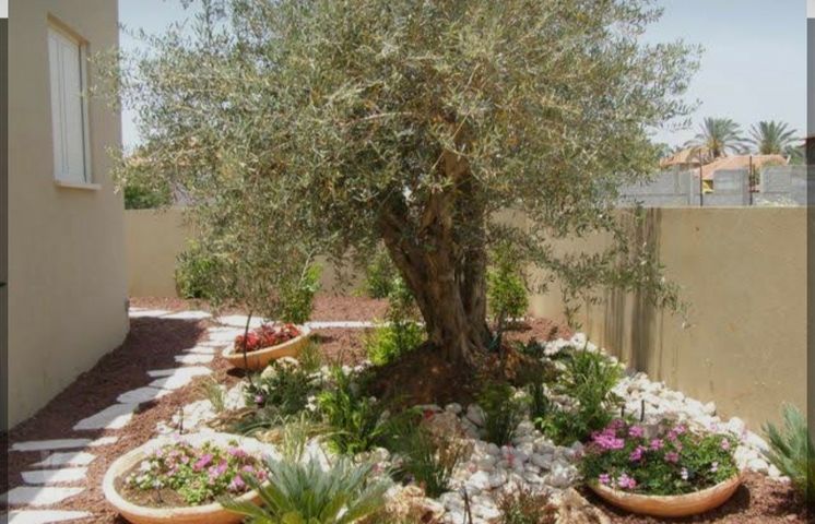 בית פרטי/ קוטג'