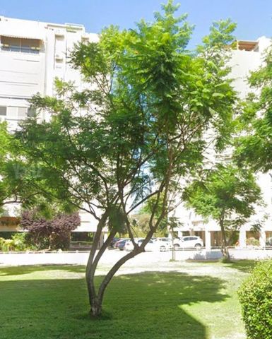 שדרות השושנים 