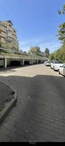 סטפן וייז 