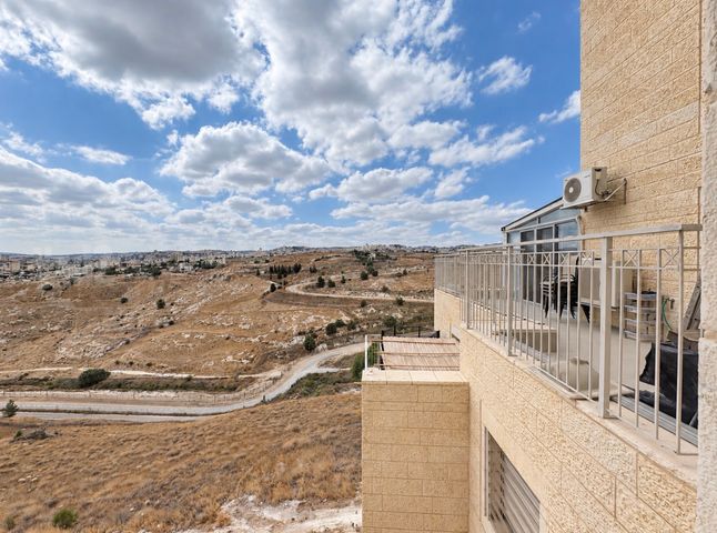 עמנואל זיסמן 