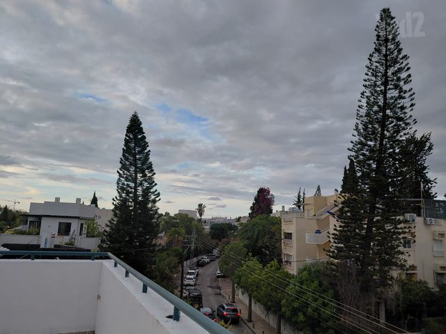 כיסופים 