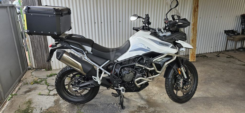 מודעת רכב טריומף Tiger 900