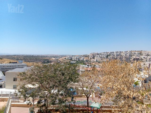 שאגת אריה 17