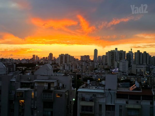 רחבת אילן 18