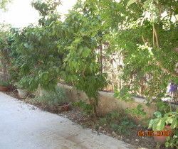 דירת גן להשכרה בירושלים — 5