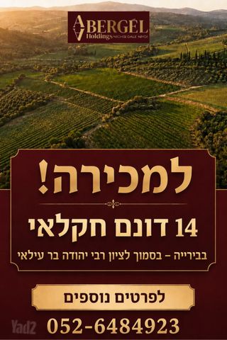 מגרשים