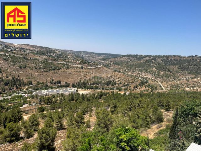אריה דולצ'ין 