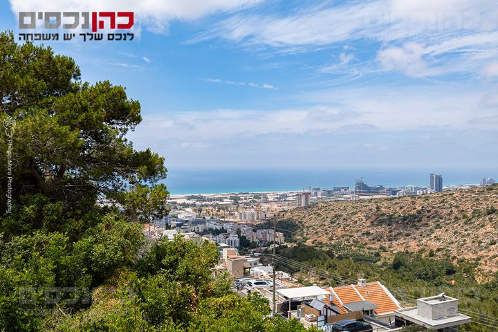 הוד הכרמל, דניה