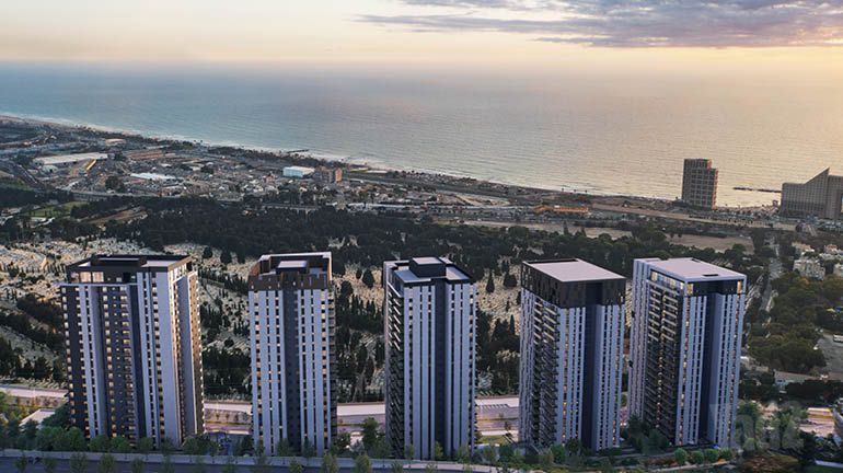 המלך שלמה 