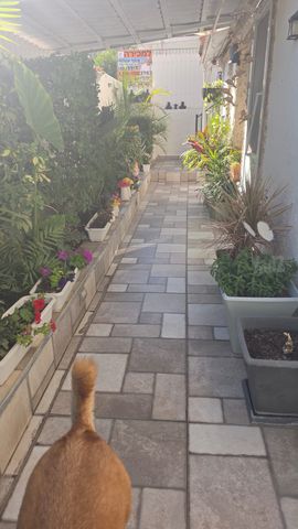 נוף הרים 